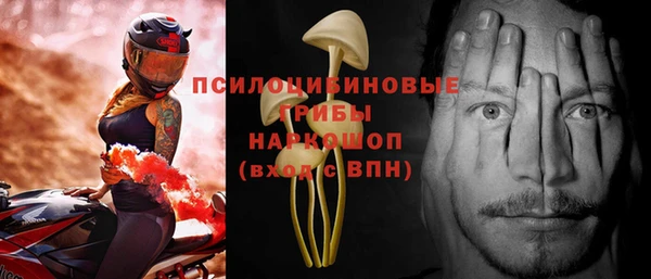 эйфоретик Заволжье