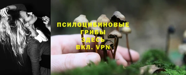 эйфоретик Заволжье