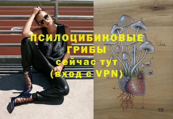 ALPHA-PVP Заволжск