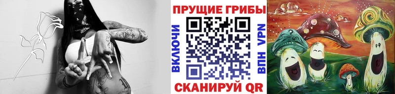 Псилоцибиновые грибы Magic Shrooms  Купить где  Заводоуковск 